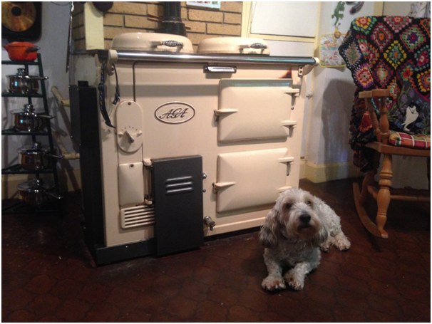 An oil fired AGA cooker with the family dog sitting in front of it.